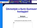http://suringumi.uw.hu ismertető oldala